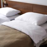 Dvokrevetna soba sa razdvojenim ležajevima